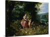 Allegory of Abundance-Jan Brueghel the Younger-Stretched Canvas