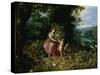 Allegory of Abundance-Jan Brueghel the Younger-Stretched Canvas