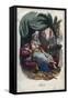 Allegory of Asia-Stefano Bianchetti-Framed Stretched Canvas