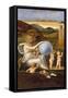 Allegory of Changing Fortune, or Melancholy-Giovanni Bellini-Framed Stretched Canvas