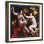 Allegory of Fortune, c.1530-Dosso Dossi-Framed Giclee Print