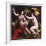 Allegory of Fortune, c.1530-Dosso Dossi-Framed Giclee Print