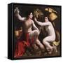 Allegory of Fortune, c.1530-Dosso Dossi-Framed Stretched Canvas