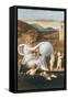 Allegory of Fortune-Giovanni Bellini-Framed Stretched Canvas