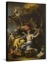 Allegory of France in the Guise of Minerva (Wisdom)-Sebastiano Ricci-Stretched Canvas