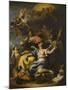 Allegory of France in the Guise of Minerva (Wisdom)-Sebastiano Ricci-Mounted Giclee Print