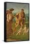 Allegory of Heroic Virtue-Giovanni Bellini-Framed Stretched Canvas