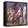 Allegory of Music, 1522-Dosso Dossi-Framed Stretched Canvas