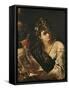 Allegory of Painting (Allegoria Della Pittura)-Giovanni Antonio Burrini-Framed Stretched Canvas