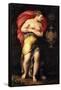 Allegory of Patience-Girolamo Siciolante da Sermoneta-Framed Stretched Canvas