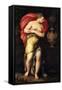 Allegory of Patience-Girolamo Siciolante da Sermoneta-Framed Stretched Canvas