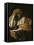 Allegory of Philosophy-Giacinto Brandi-Framed Stretched Canvas