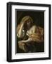 Allegory of Philosophy-Giacinto Brandi-Framed Giclee Print