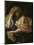 Allegory of Philosophy-Giacinto Brandi-Mounted Giclee Print