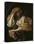 Allegory of Philosophy-Giacinto Brandi-Framed Stretched Canvas