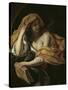 Allegory of Philosophy-Giacinto Brandi-Stretched Canvas
