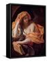 Allegory of Philosophy-Giacinto Brandi-Framed Stretched Canvas