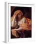 Allegory of Philosophy-Giacinto Brandi-Framed Giclee Print