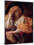 Allegory of Philosophy-Giacinto Brandi-Mounted Giclee Print