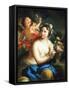 Allegory of Spring, C.1760-Andrea Casali-Framed Stretched Canvas