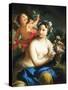 Allegory of Spring, C.1760-Andrea Casali-Stretched Canvas