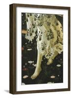 Allegory of Spring-Sandro Botticelli-Framed Giclee Print