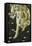 Allegory of Spring-Sandro Botticelli-Framed Stretched Canvas