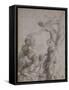 Allegory of the Immaculate Conception-Rosso Fiorentino-Framed Stretched Canvas