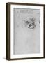 'Allegory of the Lizard Symbolizing Truth', c1480 (1945)-Leonardo Da Vinci-Framed Giclee Print