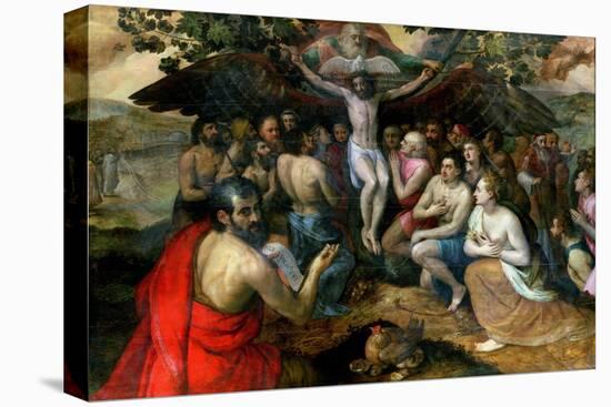 Allegory of the Trinity-Frans Floris-Stretched Canvas