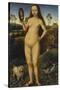 Allegory of Vanity, Left Panel of a Travel Altar-Hans Memling-Stretched Canvas