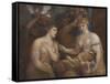Allegory of Venus and Cupid, C.1600-Titian (Tiziano Vecelli)-Framed Stretched Canvas