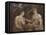 Allegory of Venus and Cupid, C.1600-Titian (Tiziano Vecelli)-Framed Stretched Canvas