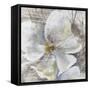 Allegretto I-Rikki Drotar-Framed Stretched Canvas