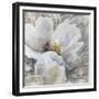 Allegretto III-Rikki Drotar-Framed Giclee Print