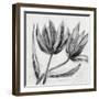 Allegretto-Kim Johnson-Framed Giclee Print