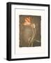 Allegria I-Amy Melious-Framed Art Print