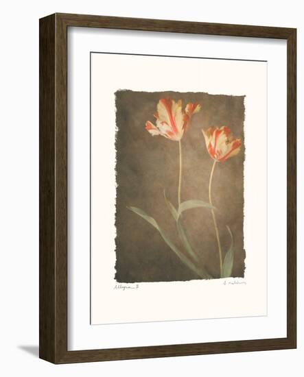 Allegria III-Amy Melious-Framed Art Print