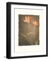 Allegria III-Amy Melious-Framed Art Print