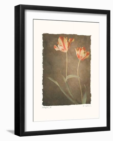 Allegria III-Amy Melious-Framed Art Print