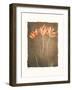 Allegria IV-Amy Melious-Framed Art Print