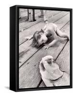 Allen Cook's Daughter Looking at the Open Mouth of a Just Caught, Giant Fish-Alfred Eisenstaedt-Framed Stretched Canvas