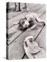 Allen Cook's Daughter Looking at the Open Mouth of a Just Caught, Giant Fish-Alfred Eisenstaedt-Stretched Canvas