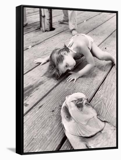 Allen Cook's Daughter Looking at the Open Mouth of a Just Caught, Giant Fish-Alfred Eisenstaedt-Framed Stretched Canvas