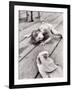 Allen Cook's Daughter Looking at the Open Mouth of a Just Caught, Giant Fish-Alfred Eisenstaedt-Framed Photographic Print