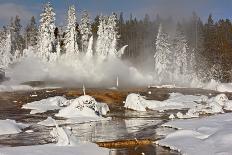 Frost covered trees and snow in thermal basin, Tire Pool, Midway Geyser Basin, Yellowstone-Allen Lloyd-Stretched Canvas
