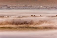 View of sheep flock grazing on pasture in mist at sunrise, Cobblers Plain, Monmouthshire-Allen Lloyd-Photographic Print