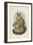 Allen's Galago-null-Framed Giclee Print