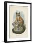 Allen's Galago-null-Framed Giclee Print