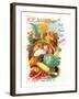 Allen's Seed Guide Brattleboro-null-Framed Art Print